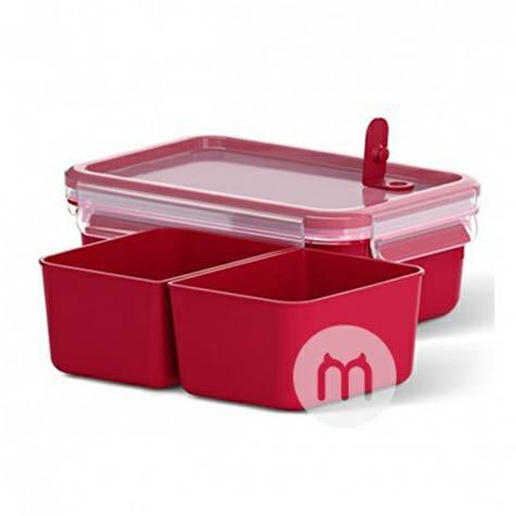 EMSA Jerman kompartemen anak kotak makan siang camilan kotak makanan dengan microwave katup 1L versi luar negeri