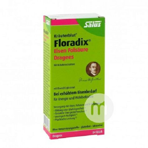 Salus Germany Floradix tablet besi yang mengandung asam folat versi farmasi 84 tablet luar negeri versi