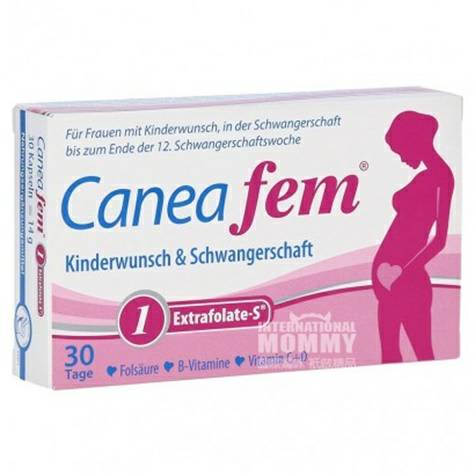 Caneafem Caneafem Jerman Kehamilan Membantu Kehamilan Multivitamin Folic Acid Capsule 1 Versi Luar Negeri